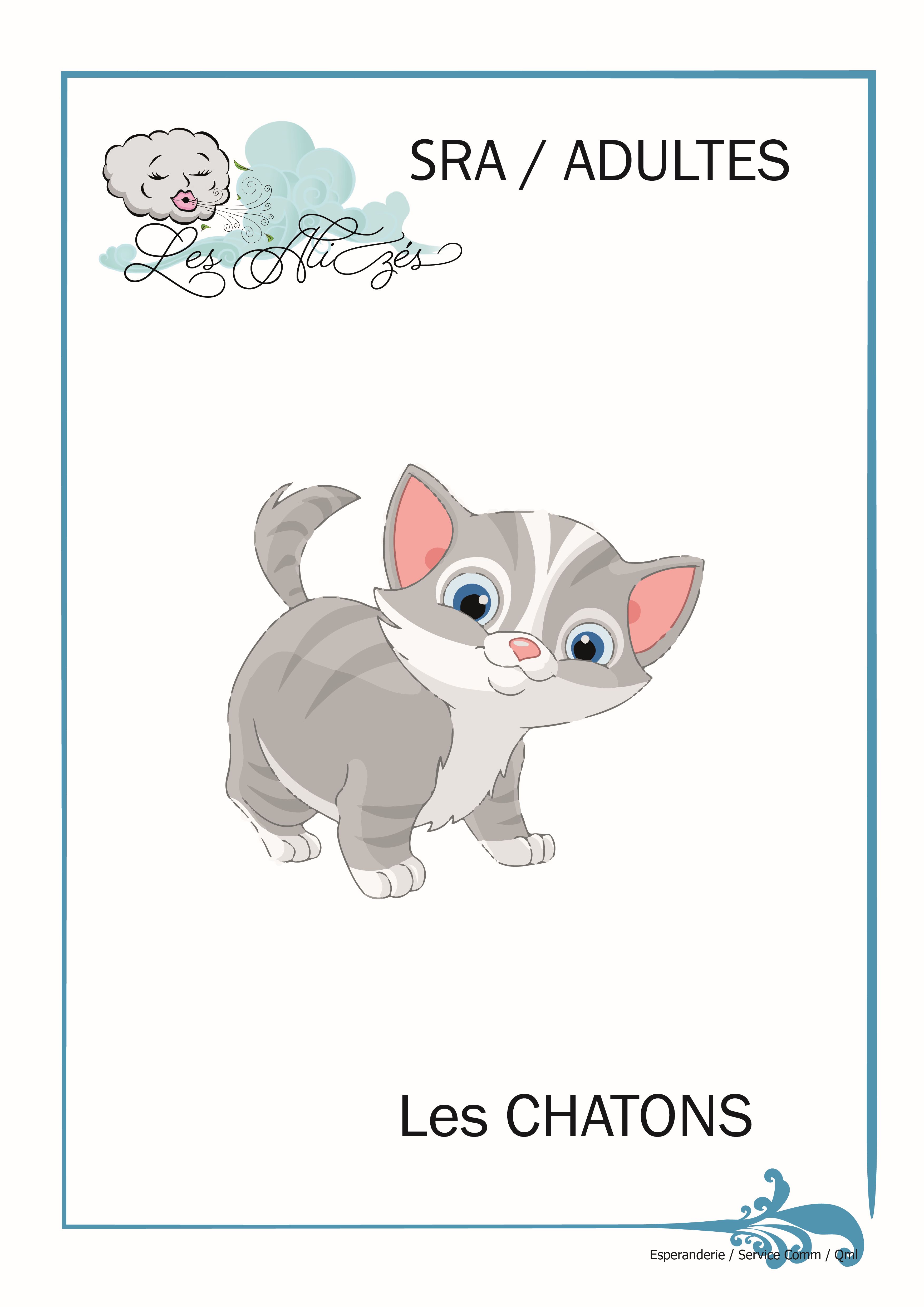 CHATONS pour site